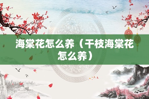 海棠花怎么养（干枝海棠花怎么养）