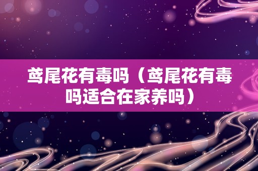 鸢尾花有毒吗（鸢尾花有毒吗适合在家养吗）