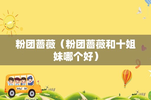 粉团蔷薇（粉团蔷薇和十姐妹哪个好）