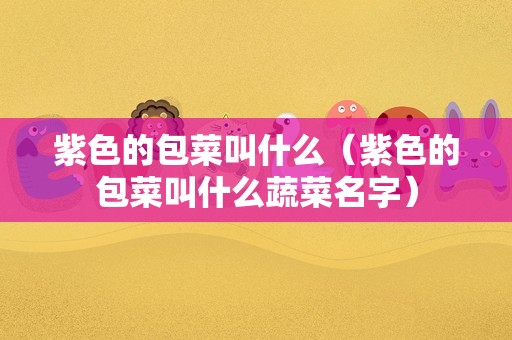 紫色的包菜叫什么（紫色的包菜叫什么蔬菜名字）