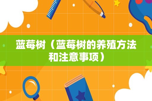 蓝莓树（蓝莓树的养殖方法和注意事项）