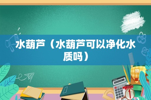 水葫芦（水葫芦可以净化水质吗）