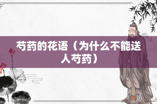 芍药的花语（为什么不能送人芍药）