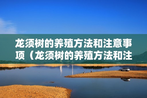 龙须树的养殖方法和注意事项（龙须树的养殖方法和注意事项金钱树）