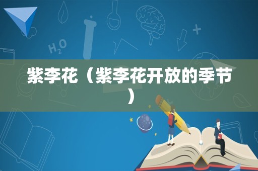 紫李花（紫李花开放的季节）