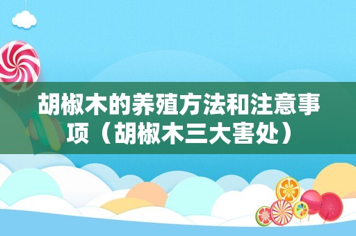 胡椒木的养殖方法和注意事项（胡椒木三大害处）