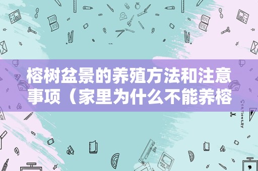 榕树盆景的养殖方法和注意事项（家里为什么不能养榕树）