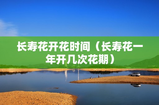 长寿花开花时间（长寿花一年开几次花期）