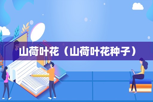山荷叶花（山荷叶花种子）