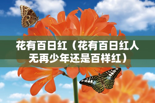 花有百日红（花有百日红人无再少年还是百样红）