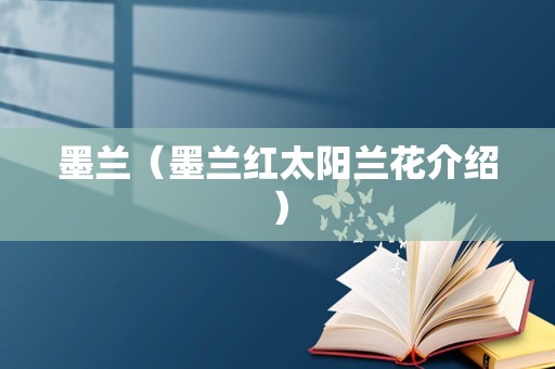 墨兰（墨兰红太阳兰花介绍）
