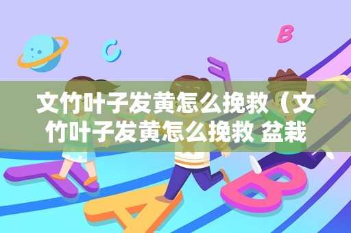 文竹叶子发黄怎么挽救（文竹叶子发黄怎么挽救 盆栽）