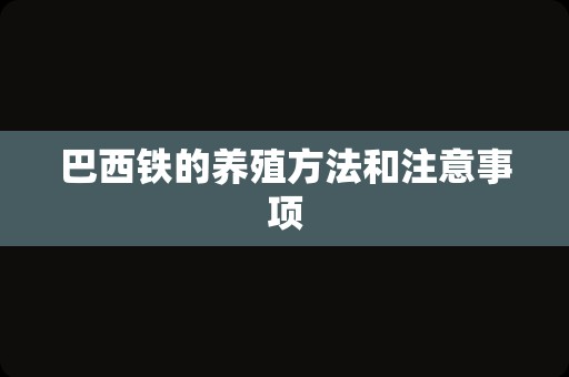 巴西铁的养殖方法和注意事项