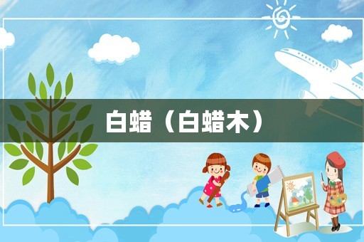 白蜡（白蜡木）