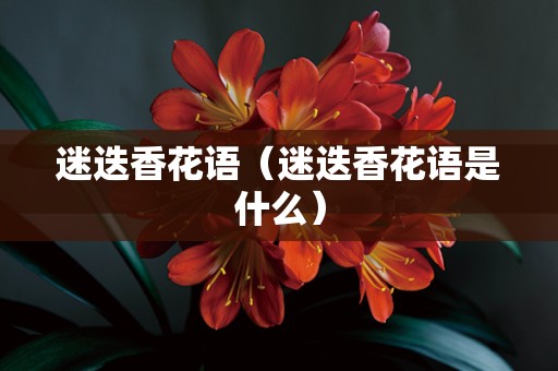 迷迭香花语（迷迭香花语是什么）