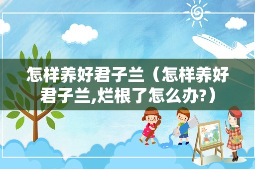 怎样养好君子兰（怎样养好君子兰,烂根了怎么办?）