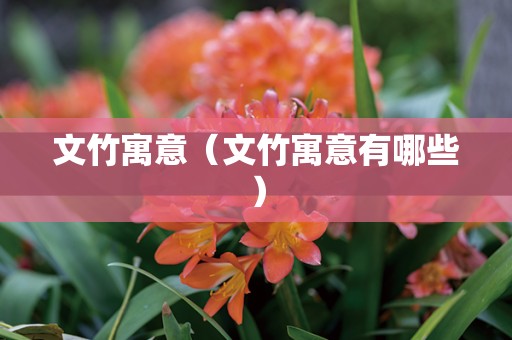 文竹寓意（文竹寓意有哪些）