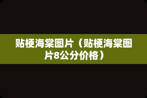 贴梗海棠图片（贴梗海棠图片8公分价格）
