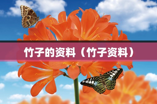 竹子的资料（竹子资料）