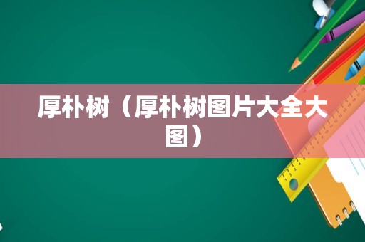 厚朴树（厚朴树图片大全大图）