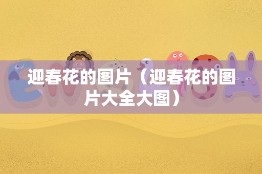 迎春花的图片（迎春花的图片大全大图）