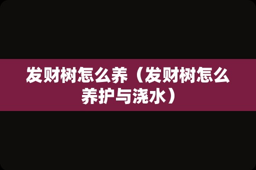 发财树怎么养（发财树怎么养护与浇水）