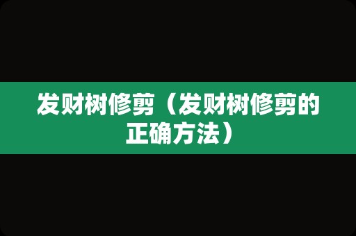 发财树修剪（发财树修剪的正确方法）