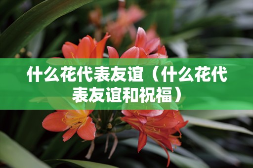 什么花代表友谊（什么花代表友谊和祝福）