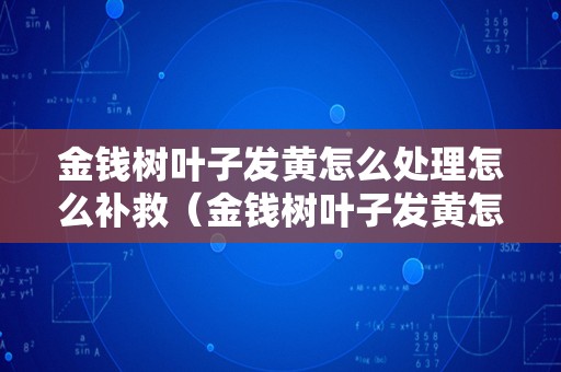 金钱树叶子发黄怎么处理怎么补救（金钱树叶子发黄怎么处理怎么补救金钱树适合什么温度）