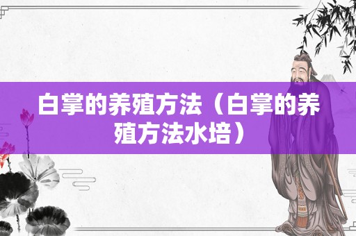 白掌的养殖方法（白掌的养殖方法水培）