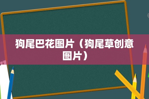 狗尾巴花图片（狗尾草创意图片）