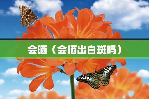 会晒（会晒出白斑吗）