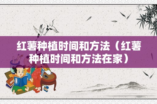 红薯种植时间和方法（红薯种植时间和方法在家）