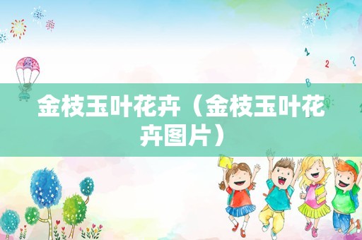 金枝玉叶花卉（金枝玉叶花卉图片）