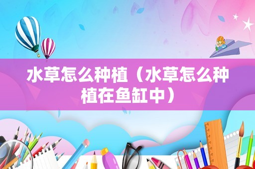水草怎么种植（水草怎么种植在鱼缸中）