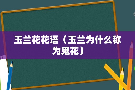 玉兰花花语（玉兰为什么称为鬼花）