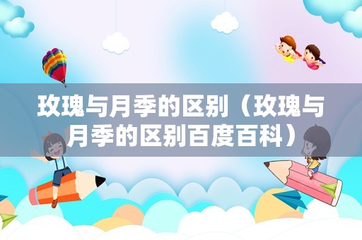 玫瑰与月季的区别（玫瑰与月季的区别百度百科）
