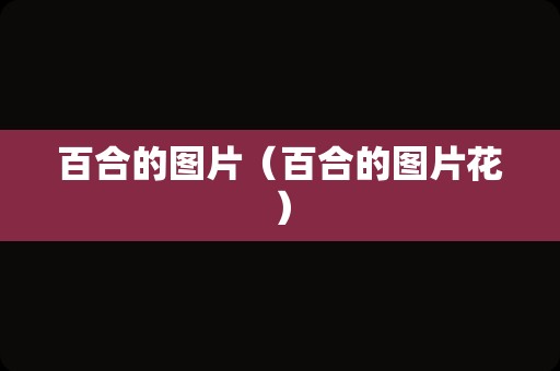 百合的图片（百合的图片花）