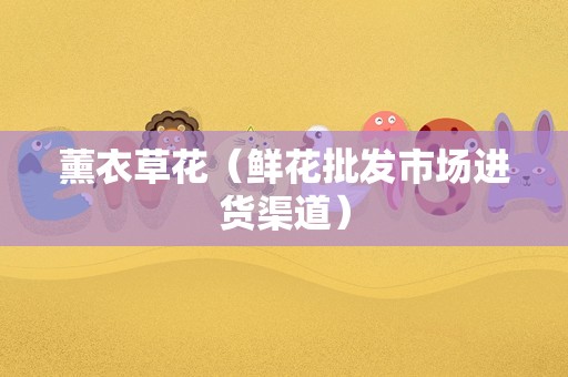 薰衣草花（鲜花批发市场进货渠道）