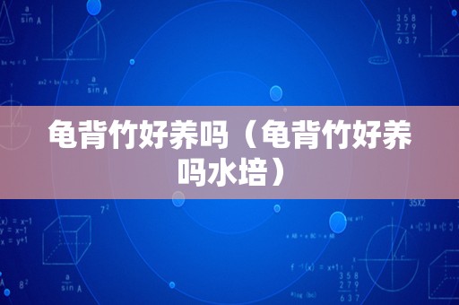 龟背竹好养吗（龟背竹好养吗水培）