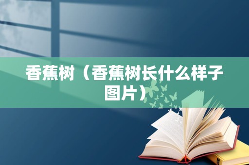 香蕉树（香蕉树长什么样子图片）