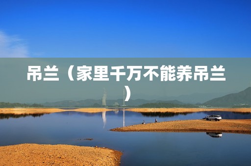 吊兰（家里千万不能养吊兰）