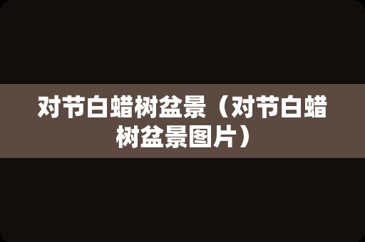 对节白蜡树盆景（对节白蜡树盆景图片）