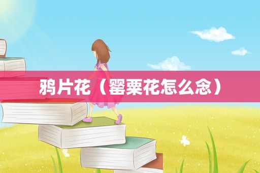 鸦片花（罂粟花怎么念）