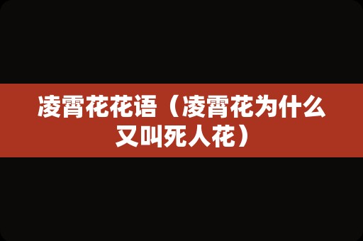 凌霄花花语（凌霄花为什么又叫死人花）
