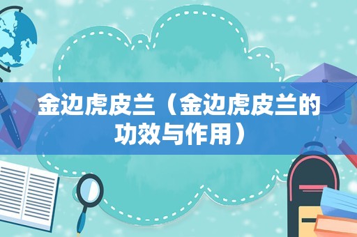 金边虎皮兰（金边虎皮兰的功效与作用）