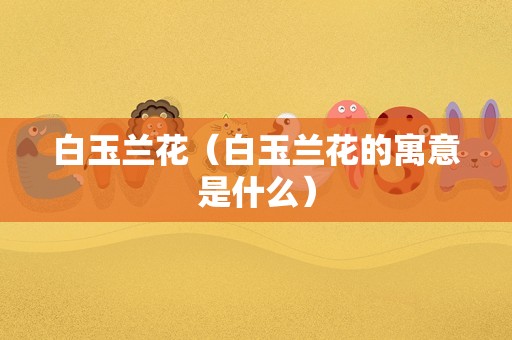 白玉兰花（白玉兰花的寓意是什么）