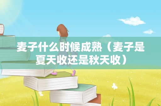 麦子什么时候成熟（麦子是夏天收还是秋天收）