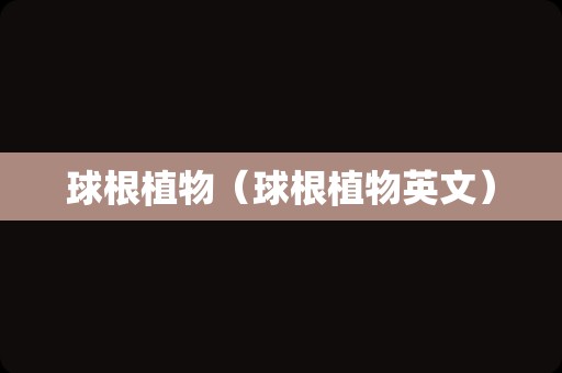 球根植物（球根植物英文）