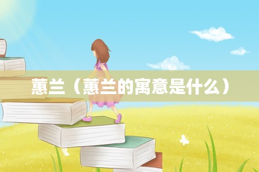蕙兰（蕙兰的寓意是什么）